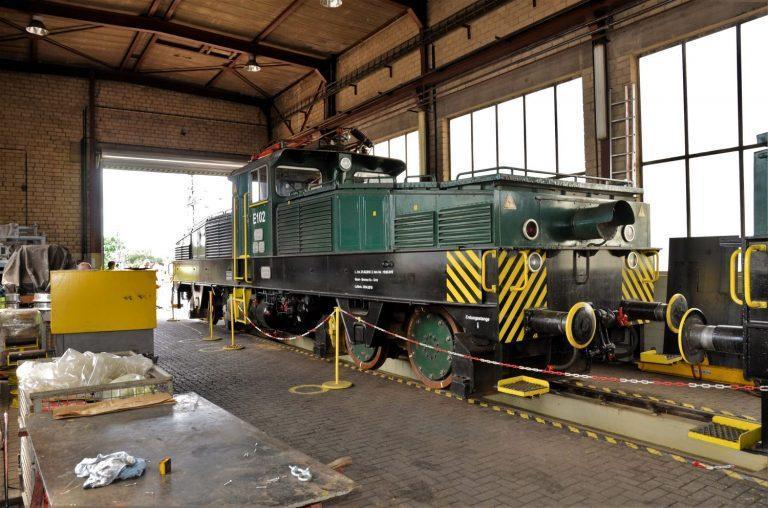 Krokodile bleiben auf dem Berg