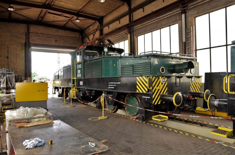 Krokodile bleiben auf dem Berg